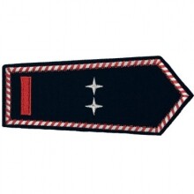 Dienstgrad  "BM als EF"