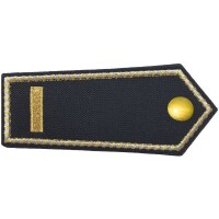 Dienstgrad Brandrat / Brandrätin