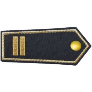 Dienstgrad Oberbrandrat mit Aufstieg
