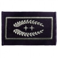 Dienstgrad "Leiter der Feuerwehr"