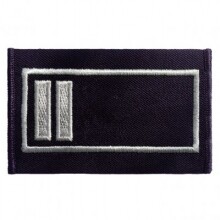 Dienstgrad Brandoberinspektor