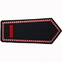 Dienstgrad "Brandmeisterin-Brandmeister" (Klettverschluss)