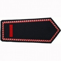 Dienstgrad "Brandmeisterin-Brandmeister" (Klettverschluss)