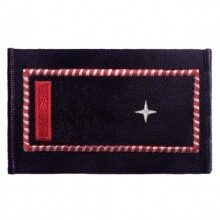 Dienstgrad  "BM als stv. EF" (Aufschiebeschlaufen)