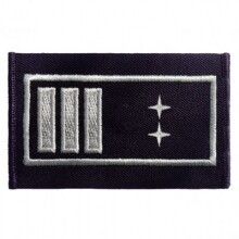 Dienstgrad Stadt,-Gemeindebrandinspektor / Brandamtmann...