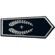 Dienstgrad "stv. Leiter der Feuerwehr"...