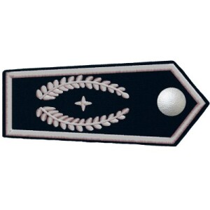 Dienstgrad "stv. Leiter der Feuerwehr"...